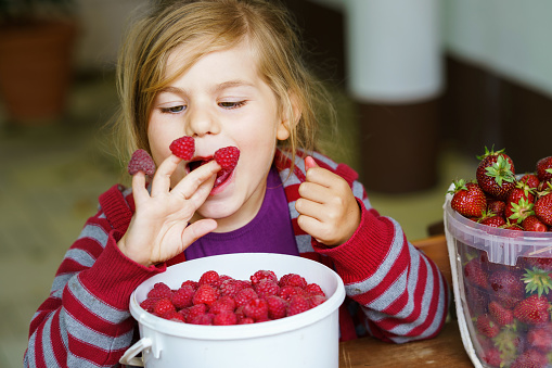 Portrait of happy little preschool girl eating healthy strawberries and raspberries. Smiling child with ripe berries from garden or field. Healthy food for children, kids