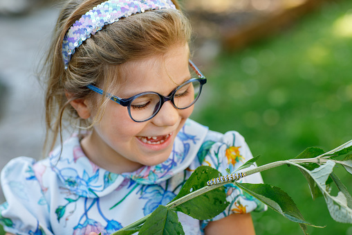 Little preschool girl watches caterpillar climb on plant. Happy excited child watching and learning insects in domestic gardens