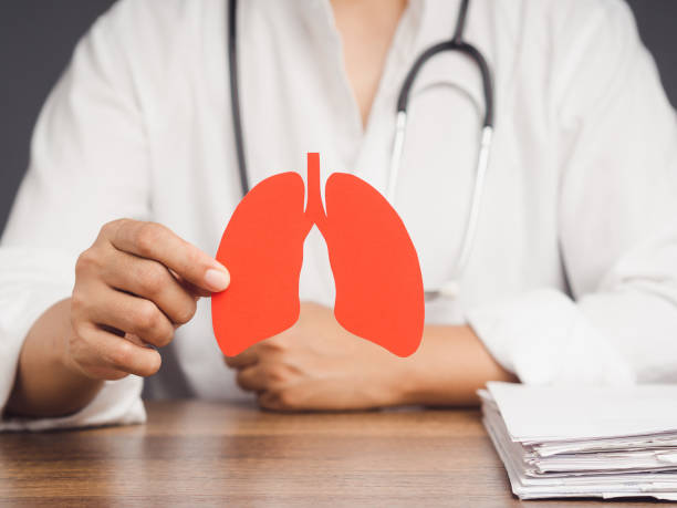 istock Doctor holding a lung shape symbol while sitting at a table in the hospital. 1859504461