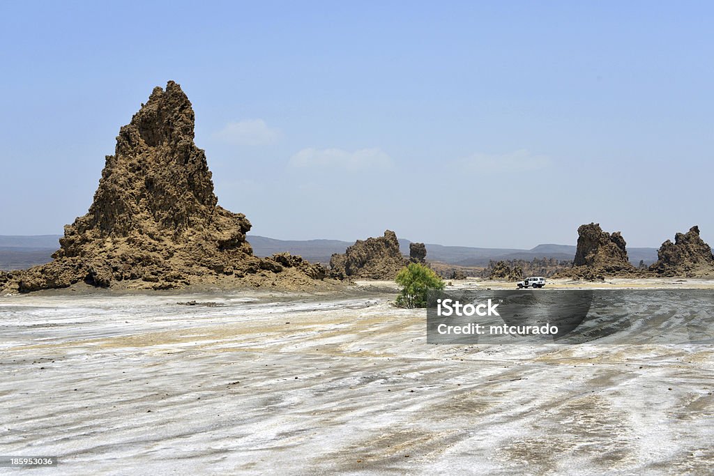 Lago Abbe, Yibuti: Chimeneas de piedra caliza y bandejas de sal - Foto de stock de Lago libre de derechos