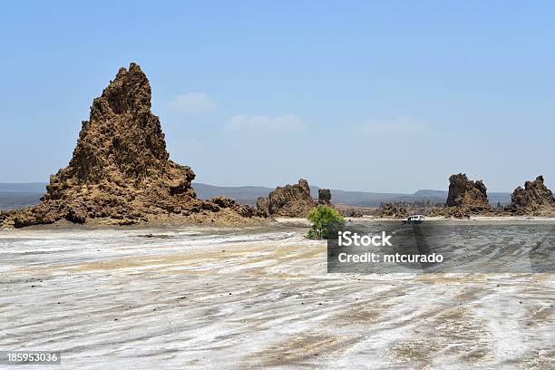 Lago Abbe Jibuti Calcário Chaminés E De Sal - Fotografias de stock e mais imagens de Djibouti - Djibouti, Lago, Ao Ar Livre