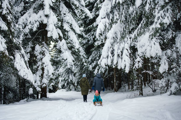 istock An Unrecognizable Family Being On Winter Vacation 1859538804