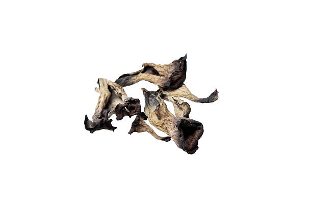 istock Muschrooms craterellus cornucopioides 185955665
