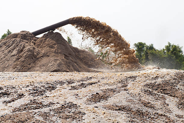 Sand Picker 1,700+ Rock Picker Stock Photos, Pictures & Royalty-Free Images - iStock