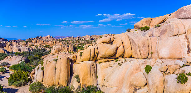 istock scenic rocks in Joshua Tree National Park 185957014