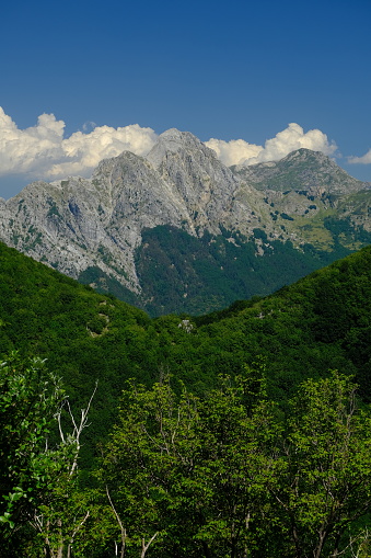 Panorama of mountains.  Pizzo d'Uccello, Monte Sagro and the Apuan Alps between green woods and blue sky.  Foto stock royalty free. Apuan Alps, Tuscany, Italy.