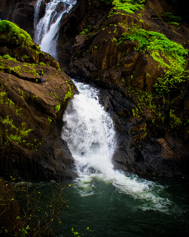 Dudhsagar Waterfall in a lush green forest, a cascading beauty on a mountain river.