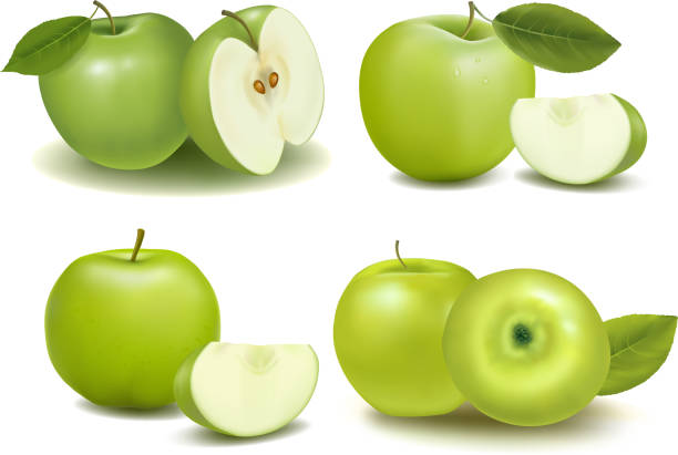 illustrations, cliparts, dessins animés et icônes de pommes - granny smith apple