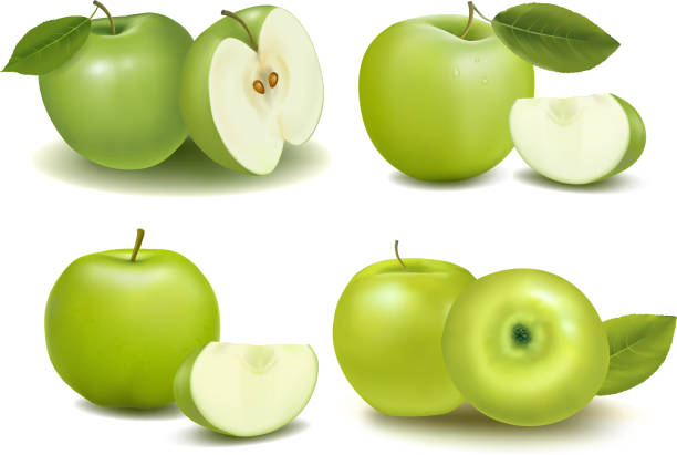 ilustrações, clipart, desenhos animados e ícones de maçãs - granny smith apple