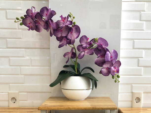 Fake plastic purple orchid flowers