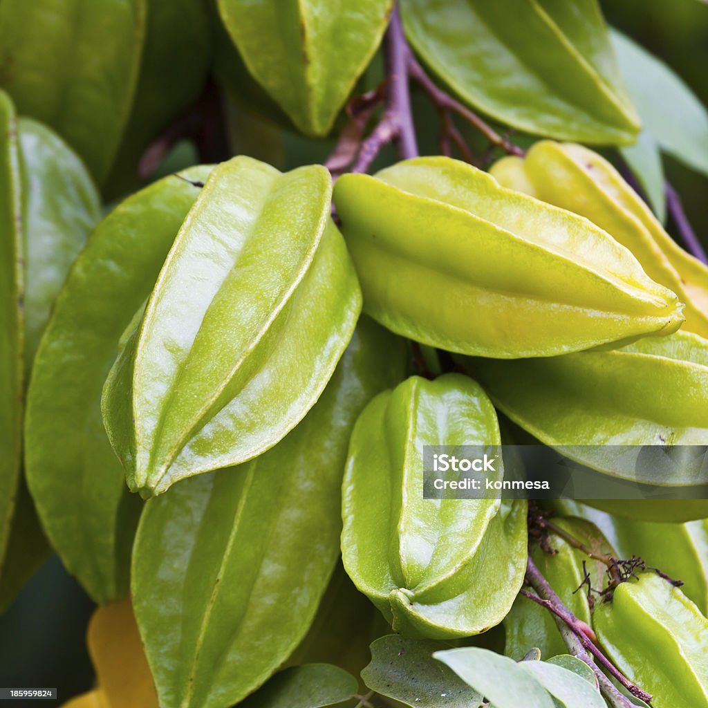 Star apple frutas - Foto de stock de Alimento libre de derechos