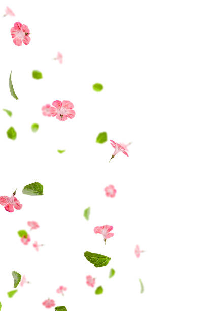 istock Fresh green leaves with pink flowers flying background 1859600765