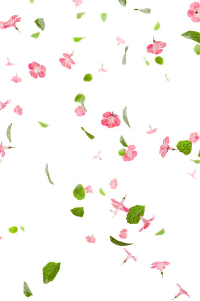 istock Fresh green leaves with pink flowers flying background 1859600883