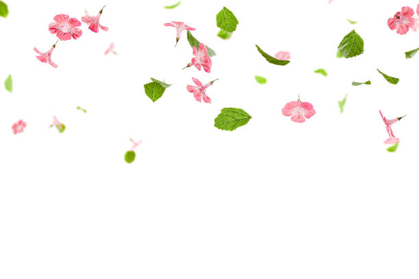 istock Fresh green leaves with pink flowers flying background 1859601285