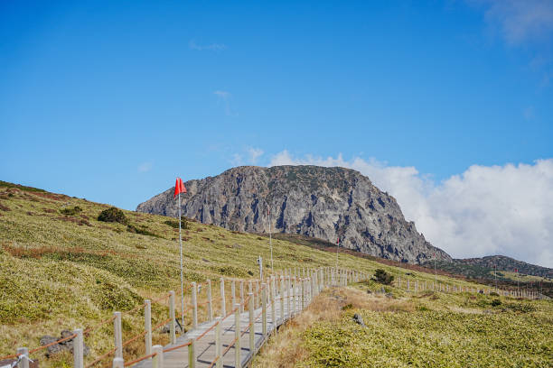 istock Trail on Hallasan Mountain (in Jeju lsland) 1859617024