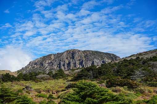 Trail on Hallasan Mountain (in Jeju lsland)