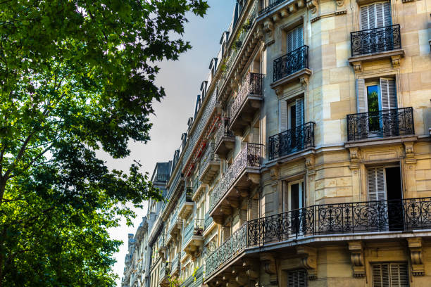 istock Old houses in Paris 1859626379
