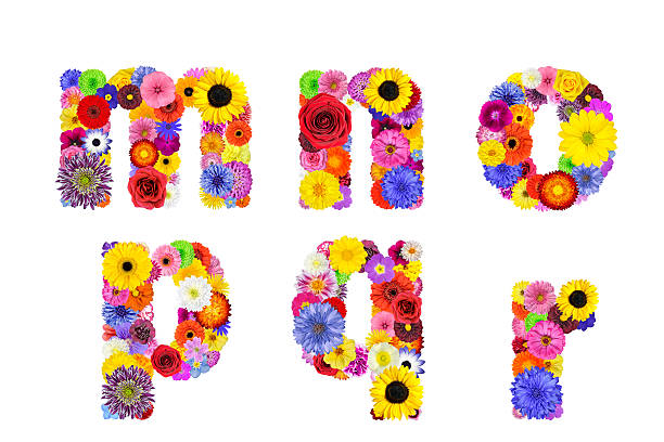 istock Floral Alphabet Isolated on White - Letters MNOPQR 185963618