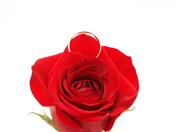 istock Wedding concept with roses and rings 185963693