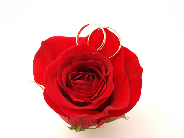 istock Wedding concept with roses and rings 185963707