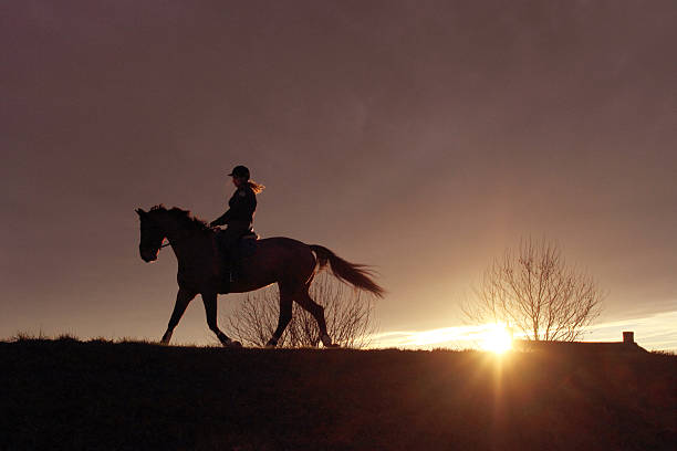istock Young adult ride a horse 185965451