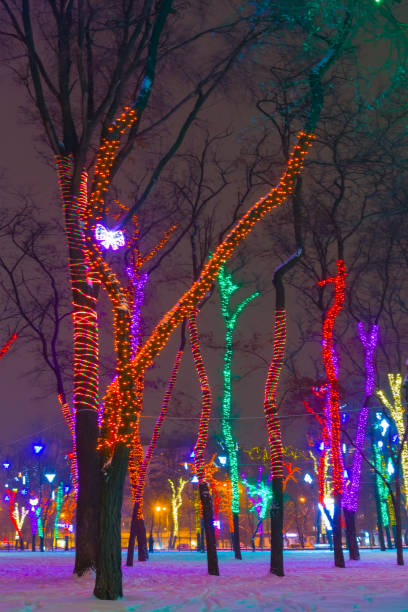 istock night city park with decorated trees  coverded by a snow 1859655310