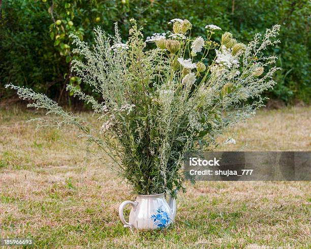 Красивые Кервель И Wormwood Букет Цветов В Фарфоровый Чайник Для Заварки — стоковые фотографии и другие картинки Цветок