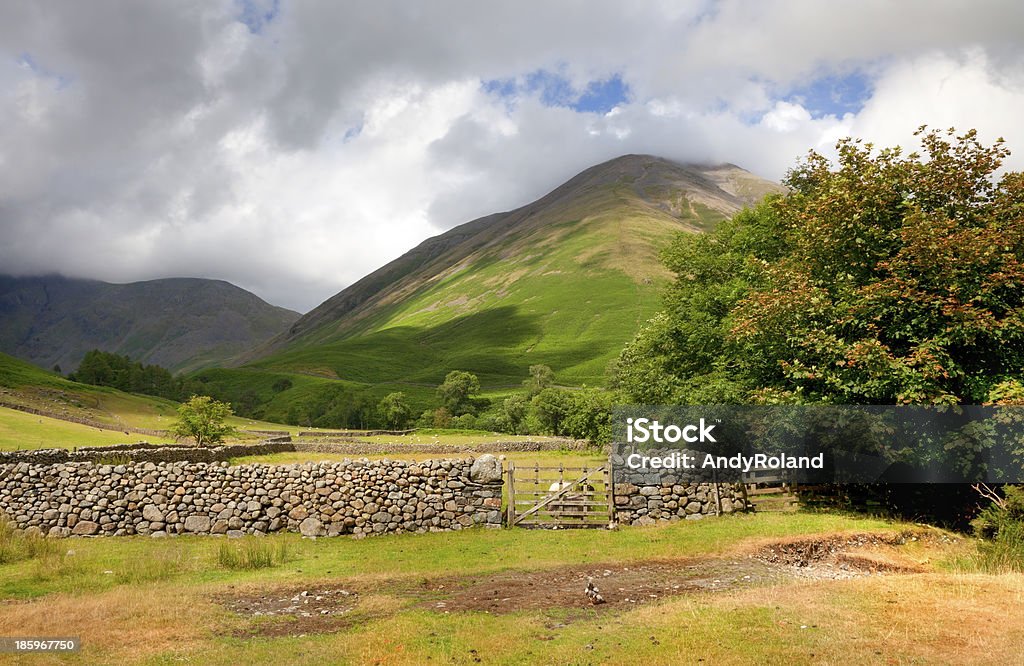 Wasdale cabeza - Foto de stock de Agricultura libre de derechos