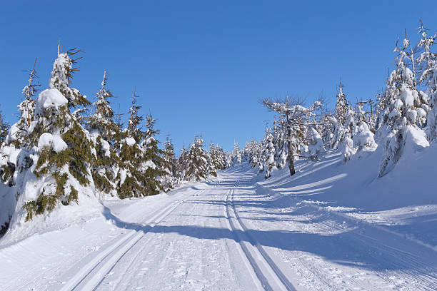 зимний горный пейзаж с лыжах. - mono ski стоковые фото и изображения