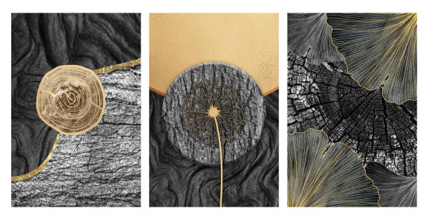 3d abstract black trunk wallpaper. Curvy lines and dandelion on drawing wood functional art. Modern collage Nordic black and golden modern wall decor.