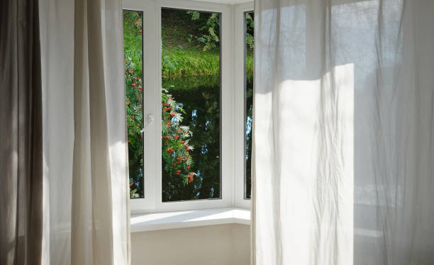 istock View from the window, green trees in the park. 1859683690