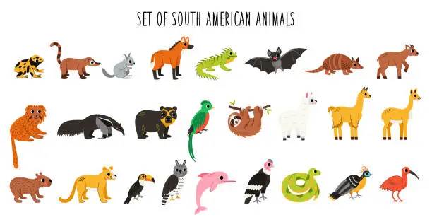 Vector illustration of Set of cute South American animals with  in cartoon style on white background.