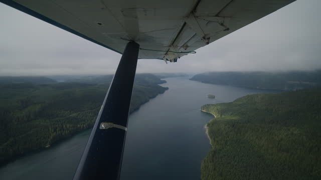 Fly over Canadian's Rainforest