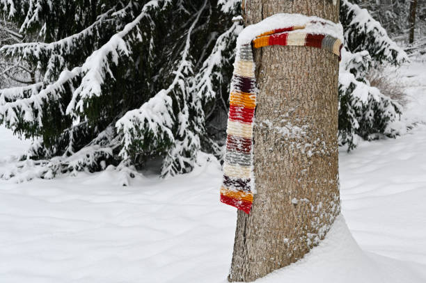 wool scarf wrapped around a tree in a park in winter