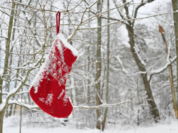 tradizionale calzino rosso lavorato a maglia per regali di Natale su un ramo nella foresta - foto stock