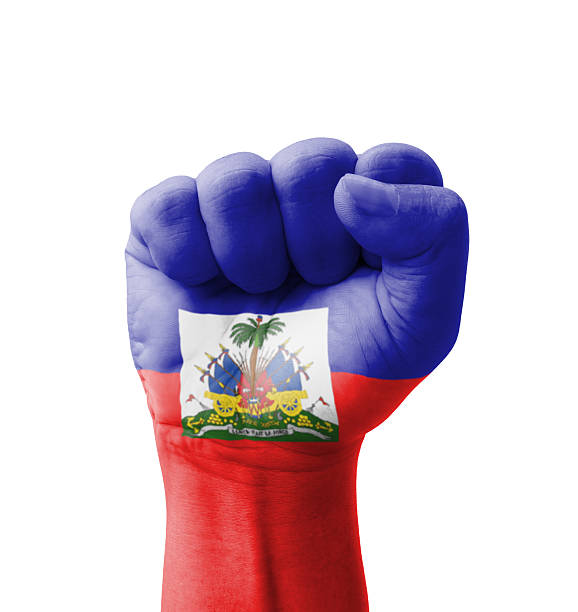Fist of Haiti flag painted, multi purpose concept - isolated on white background