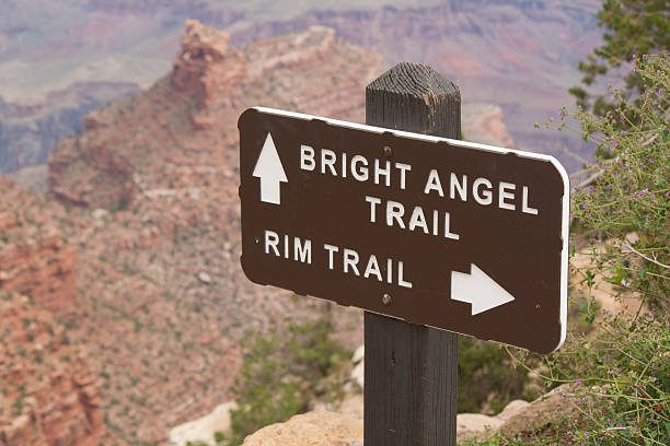 istock Bright Angel Trail in the Grand Canyon 185971009