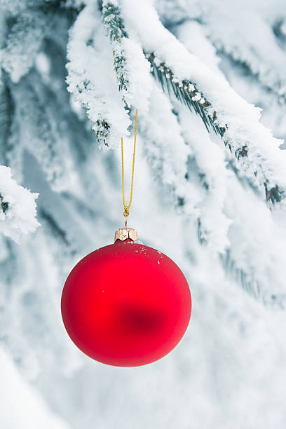 istock christmas ball outdoors 185972433