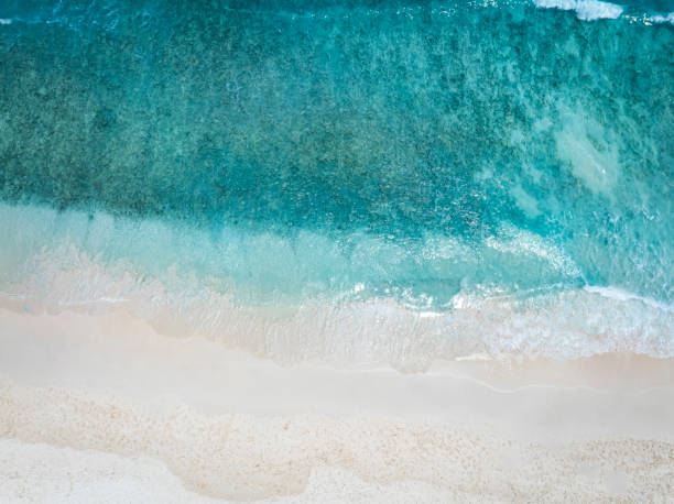 istock Beach Wave water in the Tropical summer beach with  sandy beach background 1859726705