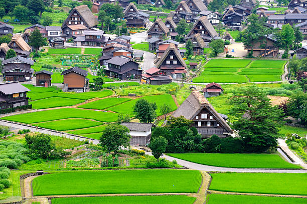 istock Shirakawago Village, Japan 185973488