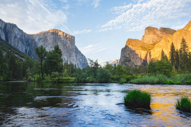 istock Yosemite National Park Panorama in summer 1859736997