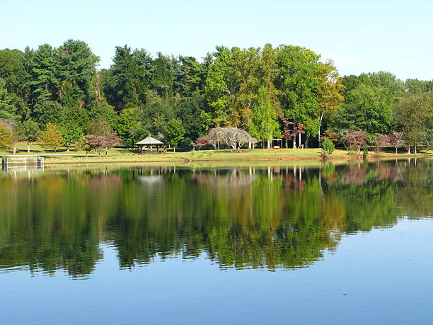 istock Furman University lake 185974437