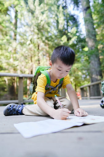 Little boy observing trees writing in notebook in forest