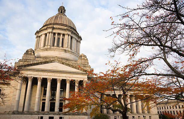 istock Capitol Legislative Building Stone Column Front Olympia Washington 185978224