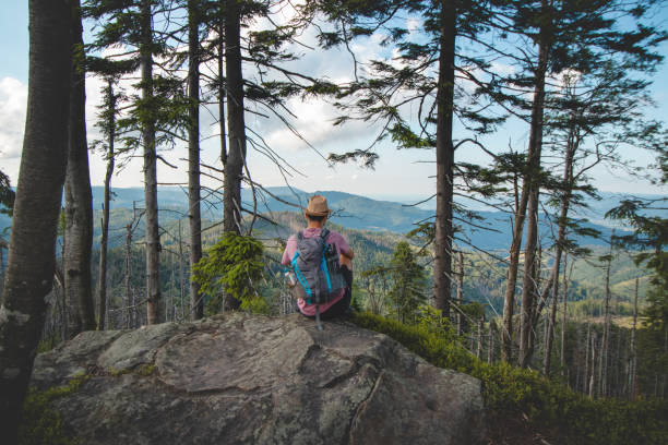 istock Backpacker aged 20-25 years resting on a rock watching the valley below, Beskydy mountains, Czech Republic 1859784089
