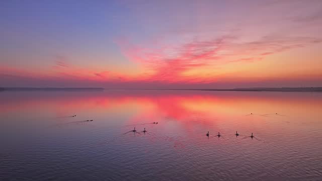 Beautiful sunset, wild geese in the lake