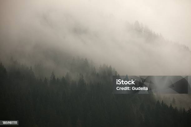 Photo libre de droit de Forêt De Brouillard banque d'images et plus d'images libres de droit de Alpes européennes - Alpes européennes, Transylvanie, Arbre