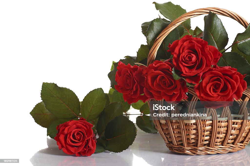 bouquet of red roses beautiful red roses in a basket on a white background Arranging Stock Photo