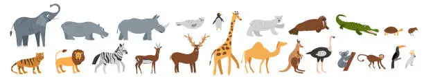 Vector illustration of Set of funny African, Arctic, Australian, Asian zoo wild animals, marine mammals, reptiles, birds. isolated on white background. Colourful vector illustration in flat style