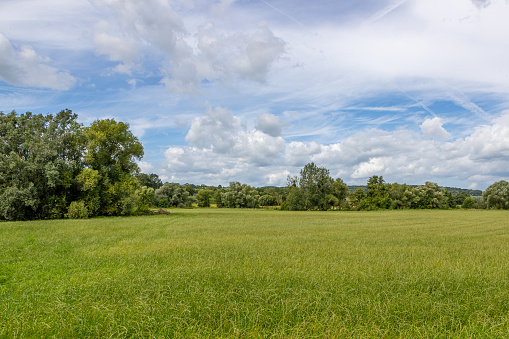 Panoramic landscape of Dutch plain with green grass, leafy trees against cloud-covered blue sky in background, nature reserve Epen Bronnenland, cloudy day in Gulpen-Wittem, South Limburg, Netherlands